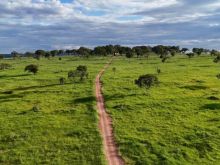 Fazenda - Corguinho/MS