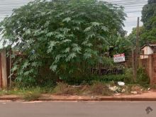 Terreno no asfalto