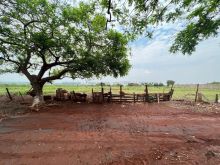 Terreno em Dourados - Sitioca Ouro Fino com 1.000m²