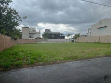 Raridade no Damha II