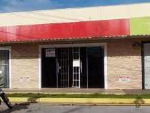 Aluga com fiador - seguro fiança ou capitalização