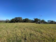 Fazenda na pecuária