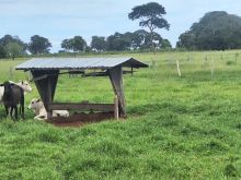 3.005 hectares - pecuária pronta