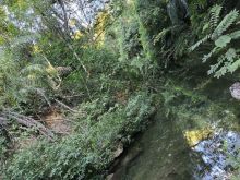 Chácara - Rio Mimoso - 10 hectares - aceita imóvel em CG