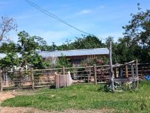 Fazenda montada para pecuária