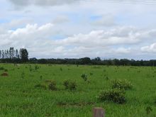 40 minutos do shopping Campo Grande