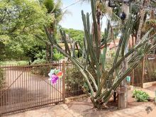 Casa térrea com bastante espaço e terreno