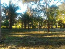 Terreno na saída para Bela Vista