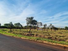 Área na rotatória do Indubrasil