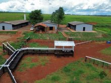 Chácara 17,5 ha - estrutura para haras