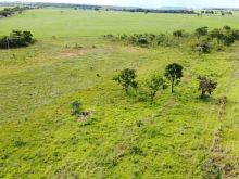 5,9 hectares às margens da MS-010