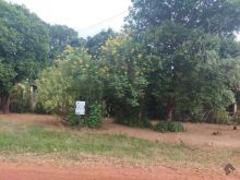 Terreno na Vila Carolina