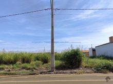 Terreno 12x30m - Figueira do Parque