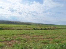 Oportunidade excelente - fazenda com 750 ha