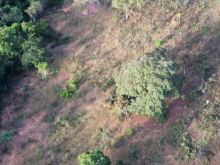 Chácara dos Poderes