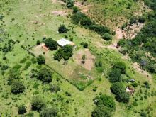 Fazenda - oportunidade - 300 hectares - Corguinho