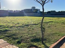 Dois terrenos juntos