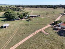 Fazenda - 288 hectares - com rio na divisa