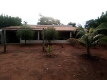 Chácara com energia fotovoltaica e produtiva