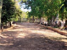 15 hectares - escriturada