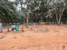 Chácara das Mansões - Chácara com 2 ha abertos