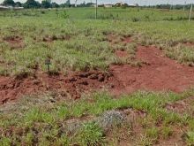 Terreno North Park no asfalto