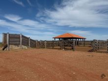 Área para arrendamento - oportunidade exclusiva