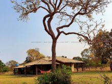 Fazenda de 1.170 ha - pronta para criar gado