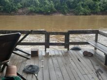 Pesqueiro em Anastácio com casa completa e piscina