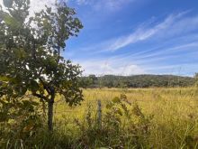 Excelente 20 ha pertinho a Bandeirantes - fazenda Três Lagoas
