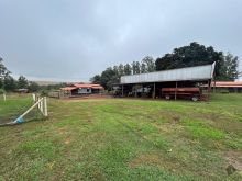 Fazenda com 220 ha
