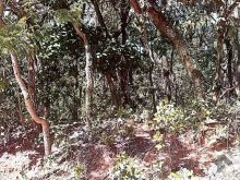 Área próximo ao Riviera Home Club