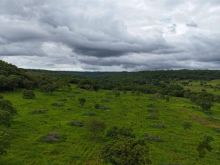 Rica em água - pecuária