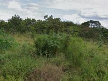 Terreno no Jardim Veraneio