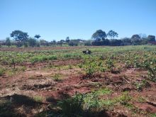 Área 4.500m² - oportunidade