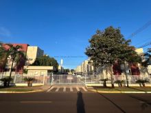 Orquídeas - com ou sem mobília