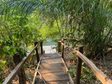 Chácara exclusiva à beira do rio Formoso