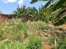 Terreno no Lageado com preço de ocasião