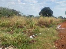 Área próximo asfalto