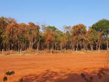 Chácara de esquina - excelente localização