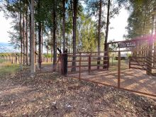 Chácara com 2 hectares - Chácara das Mansões