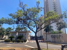 Lindo apartamento - sol da manhã