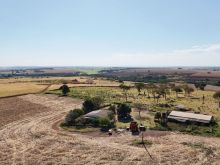 Fazenda 177 ha - só cultura - 7 km da cidade
