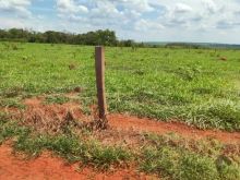Fazenda de 200 ha - oportunidade - R$ 6,5 milhões