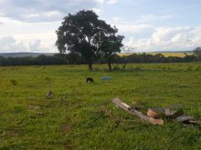 Aceita R$ 50 mil - permuta