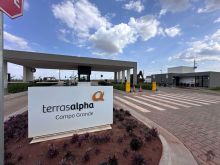 Terras Alpha - oportunidade