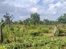 Área/terreno - macro anel viário - rota bioceânica