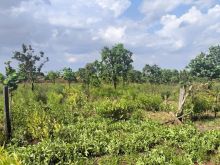 Linda área - macro anel - bairro Tarumã