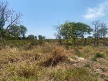 Área próximo ao Nasa Park