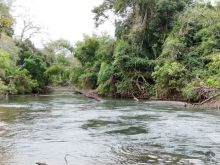 4,5 km de rio da Prata - próximo de Bonito